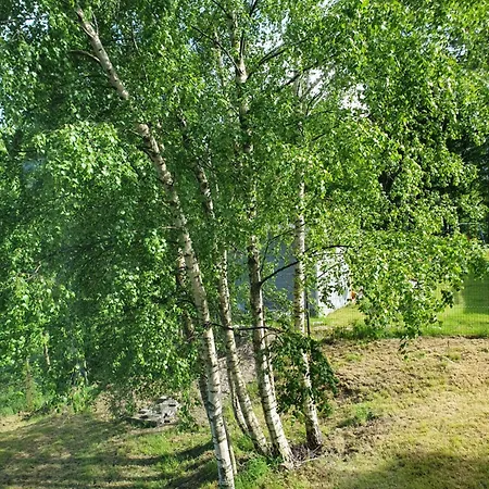 Balasana - Komfortowy Dom Na Wylacznosc * Sklářská Poruba