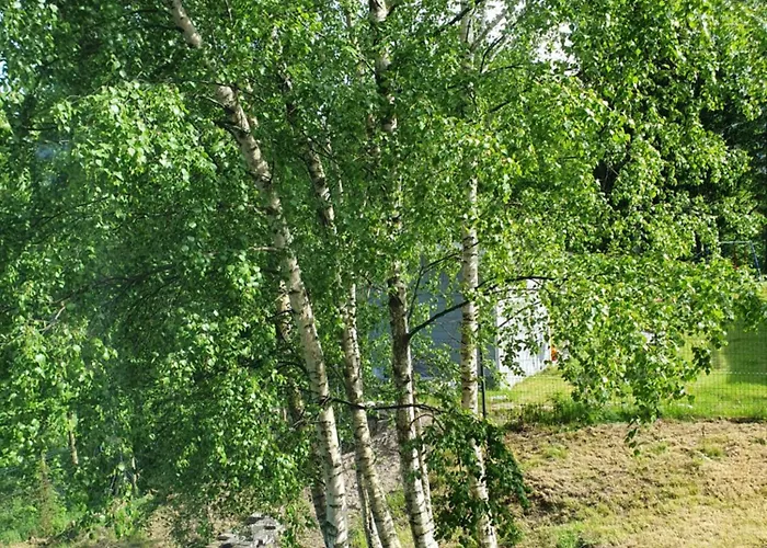 Balasana - Komfortowy Dom Na Wylacznosc * Schreiberhau